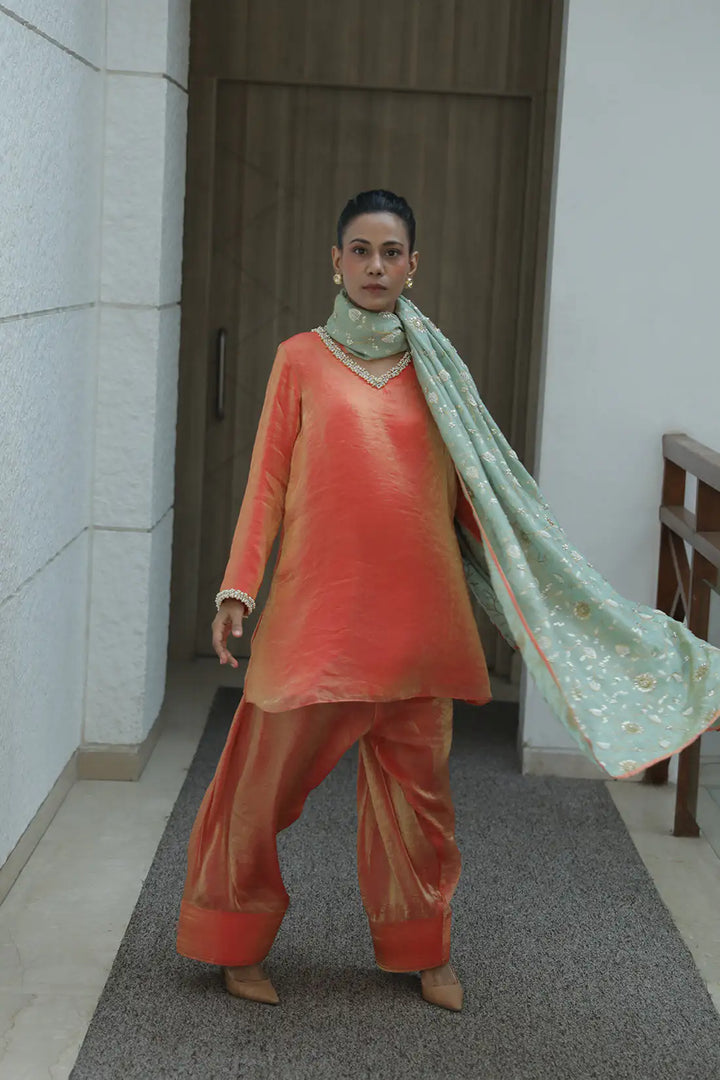 Flowy Glass Tissue Organza Farsi Salwar Set